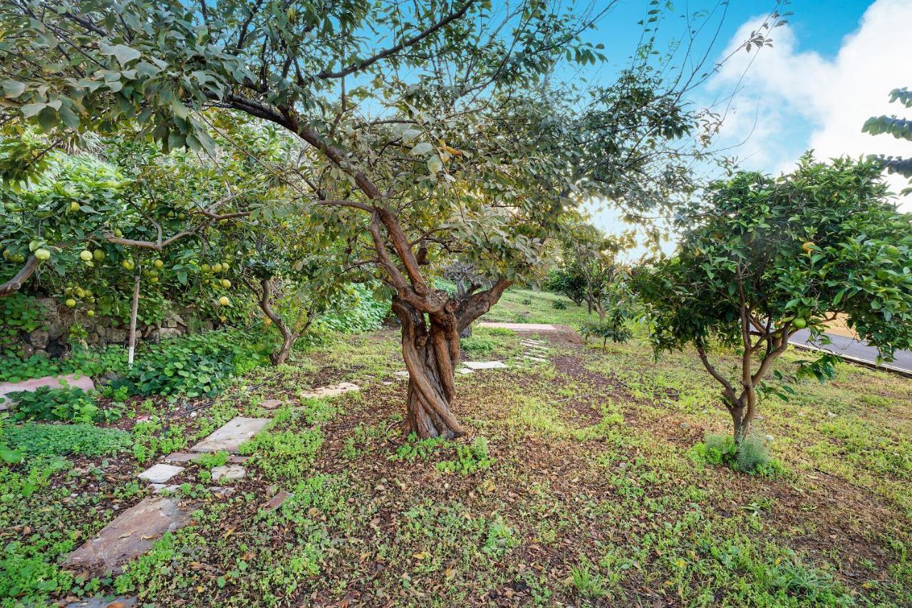 Casa La Victoria Villa La Victoria de Acentejo ภายนอก รูปภาพ